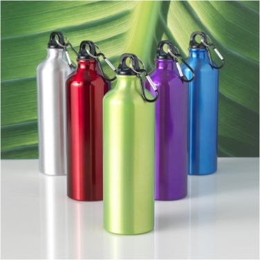 Logo trade promotional products image of: Oregon 770 ml aluminium water bottle with carabiner