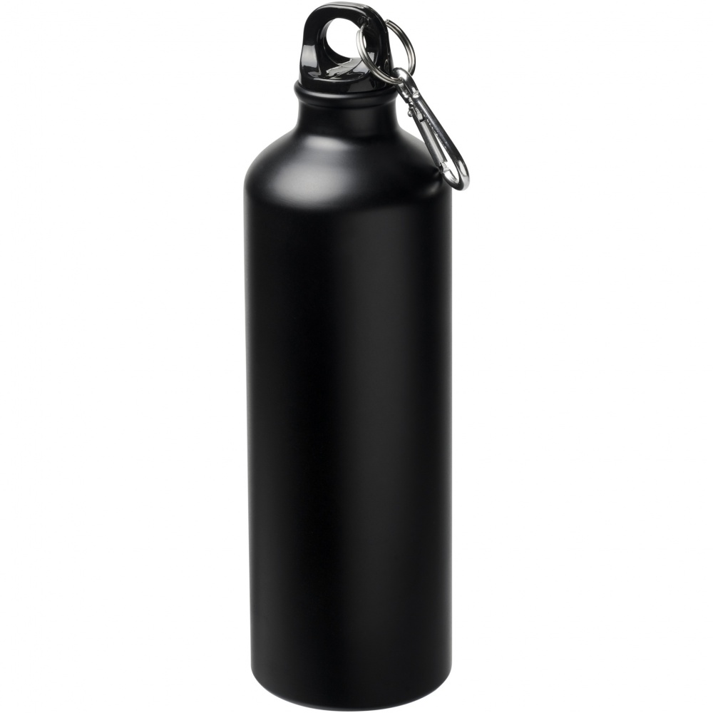 Logotrade advertising product picture of: Oregon 770 ml matte water bottle with carabiner