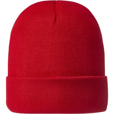 Logotrade promotional item image of: Irwin beanie
