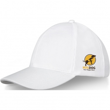 Logotrade promotional gift image of: Drake 6 panel trucker cap