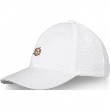 Logo trade corporate gifts picture of: Drake 6 panel trucker cap