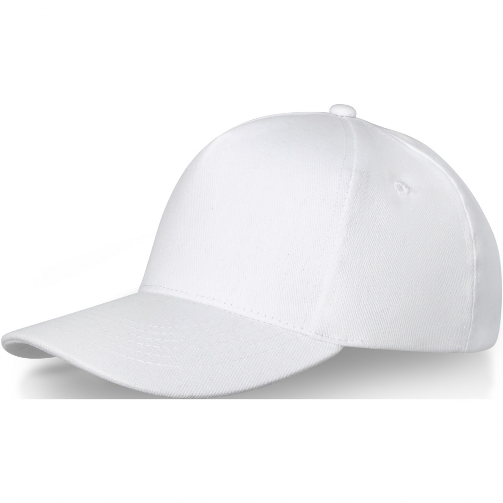 Logotrade promotional gift image of: Doyle 5 panel cap