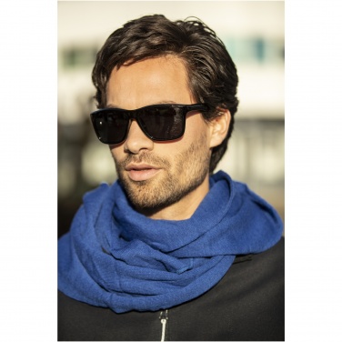 Logotrade promotional merchandise picture of: Eiger polarized sunglasses in recycled PET casing