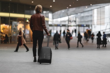 Logo trade corporate gifts picture of: Bobby backpack trolley