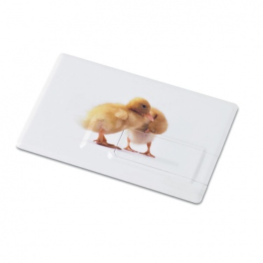 Logo trade promotional gifts picture of: Creditcard. USB flash 4GB