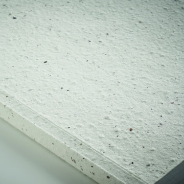 Logotrade promotional gift picture of: A5 seed paper cover notebook