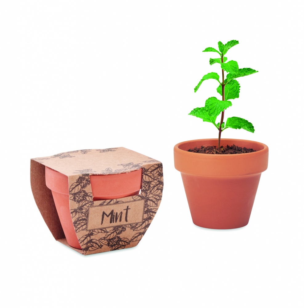 Logotrade promotional product image of: Terracotta pot mint seeds