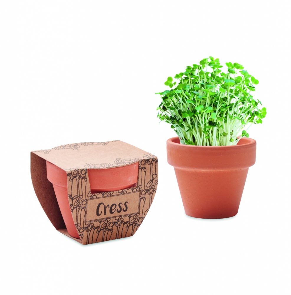 Logotrade corporate gifts photo of: Terracotta pot cress seeds