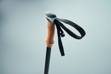 Logotrade promotional merchandise picture of: Nordic walking poles