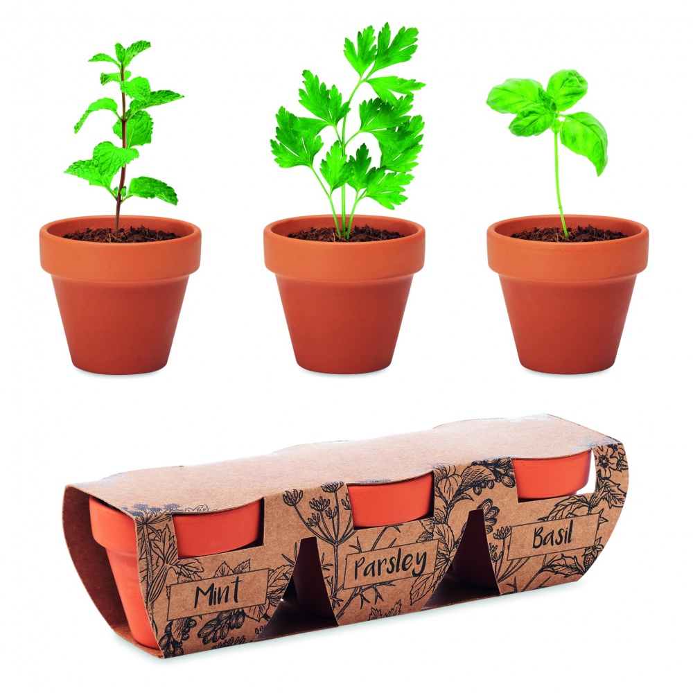 Logo trade promotional giveaway photo of: Terracotta 3 herb pot set
