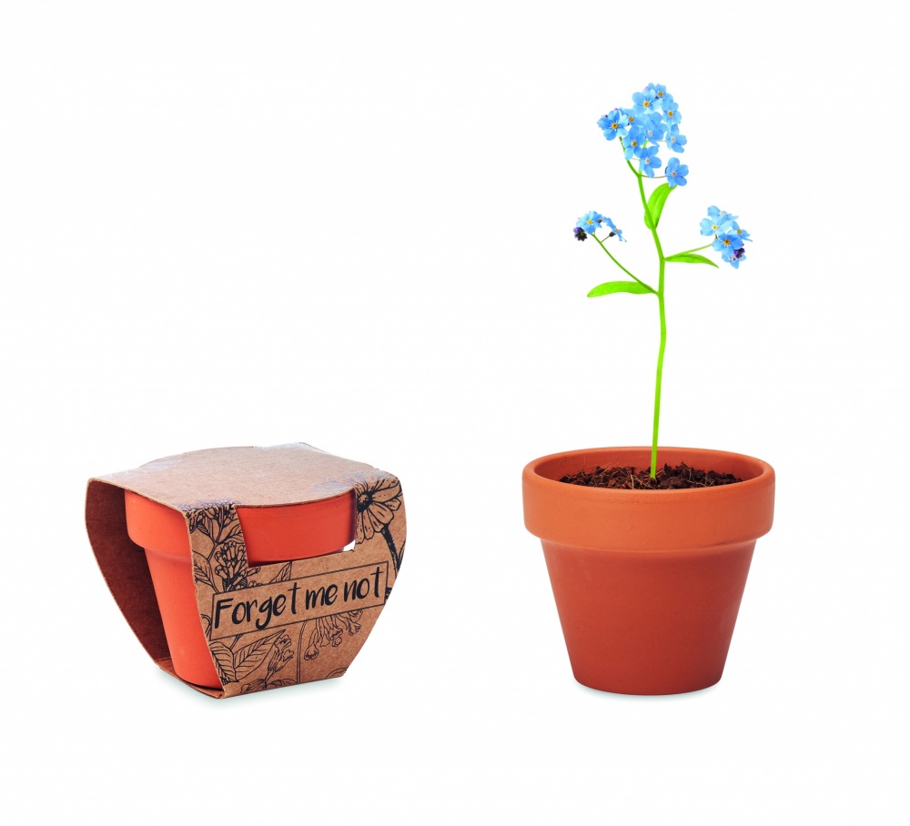 Logotrade promotional merchandise image of: Terracotta pot 'forget me not'