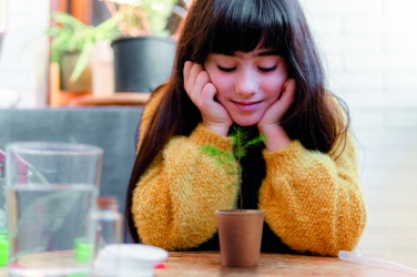 Logo trade corporate gift photo of: Pine tree set