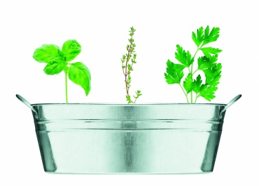 Logotrade promotional product image of: Zinc tub with 3 herbs seeds
