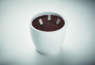 Logotrade corporate gifts photo of: Herb seeds sticks