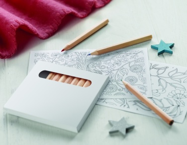 Logotrade promotional giveaway picture of: Drawing adult set