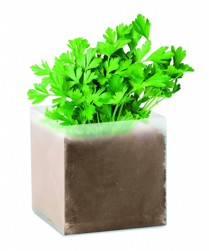 Logotrade promotional giveaway image of: Compost with seeds "PARSLEY"