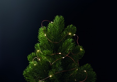 Logo trade business gifts image of: LED fairy lights string 5m