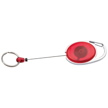 Logotrade promotional item picture of: Ski-Pass with Carabiner Keyring EMPLOYEE