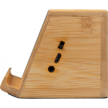 Logo trade promotional gift photo of: Induction loudspeaker NUREMBERG