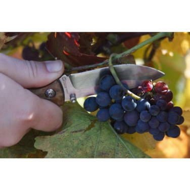 Logotrade corporate gift image of: Pocket knife JUNGLE Schwarzwolf