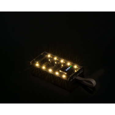 Logotrade promotional merchandise photo of: Power bank 10 000 mAh DARWIN