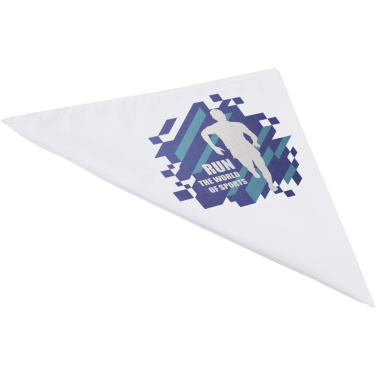Logotrade promotional products photo of: Heracles bandana