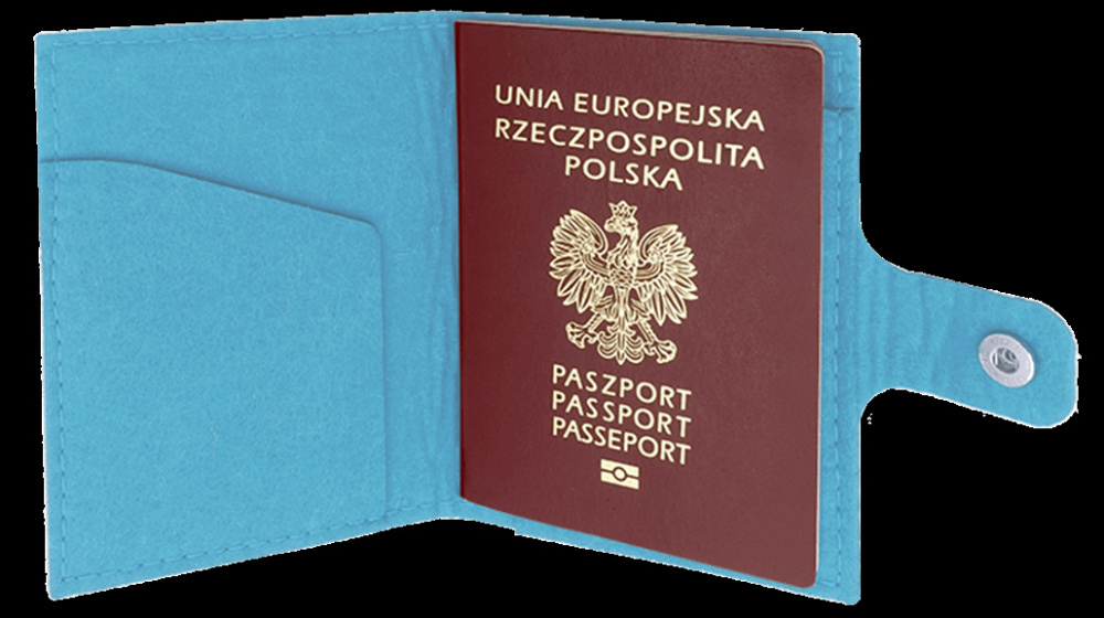 Logotrade promotional merchandise photo of: Passport case 84106200