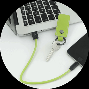 Logotrade promotional merchandise photo of: Keyring 59612900