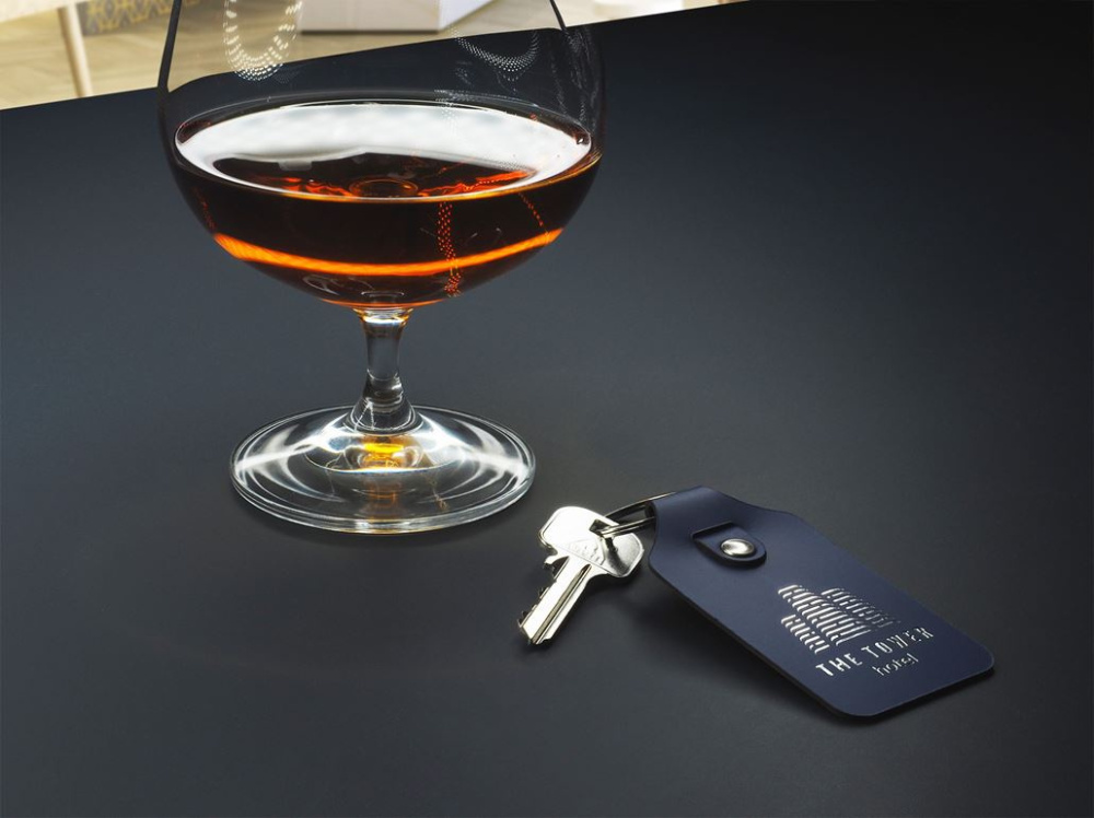 Logo trade advertising products image of: Keyring 1200094