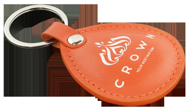 Logo trade promotional gifts picture of: Keyring 573131