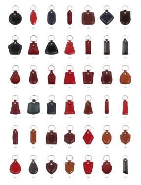 Logotrade promotional giveaway image of: Keyring 178011