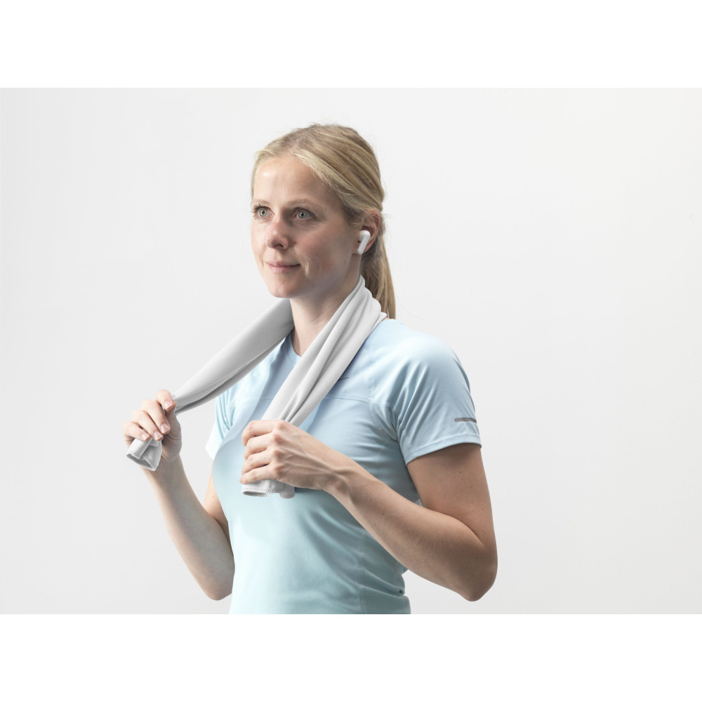 Logo trade promotional gifts image of: CoolDown RPET sports cooling towel