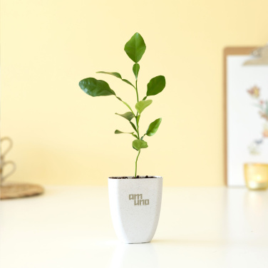 Logo trade promotional gifts picture of: Treemore Letterbox Trees Kaffir Lemon