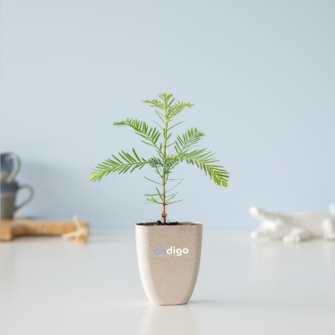 Logotrade advertising product image of: Treemore Letterbox Trees Giant Sequoia