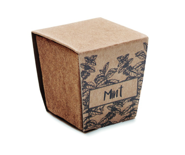 Logotrade business gift image of: Mint seeds growing kit