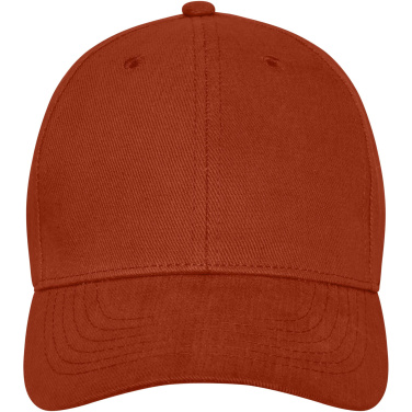 Logotrade promotional merchandise picture of: Davis 6 panel cap