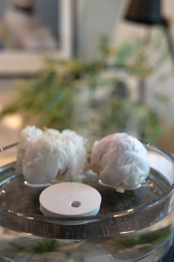 Logotrade advertising product picture of: Breevia RCS rplasic re-chargeable floating humidifier