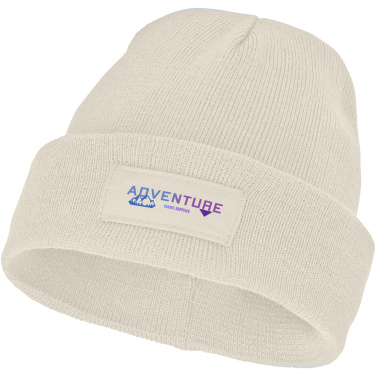 Logotrade promotional item picture of: Boreas beanie with patch