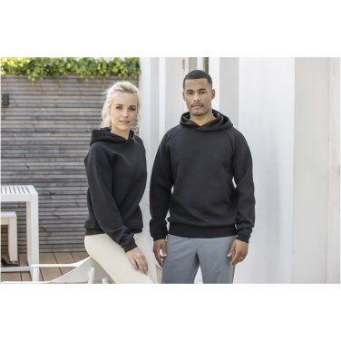 Logo trade promotional items picture of: Danali unisex interlock sports hoodie
