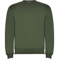 Clasica unisex crewneck pusa, Venture Green