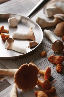 Logotrade ärikingituse foto: VINGA Vici välipann