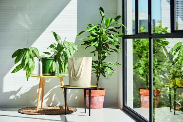 Logotrade meene foto: Lõuendist ostukott 270 gr/m²