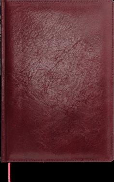 Logotrade mainoslahjat kuva: Kalenteri 645131