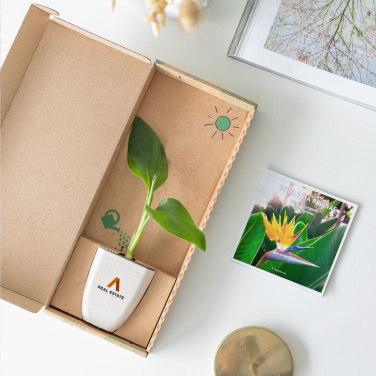Logo trade liikelahja kuva: Treemore Letterbox Trees Bird of Paradise -kasvi