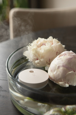 Логотрейд pекламные продукты картинка: Breevia RCS rplasic перезаряжаемый плавающий увлажнитель воздуха