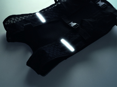 Логотрейд pекламные подарки картинка: Sports backpack 420D PU